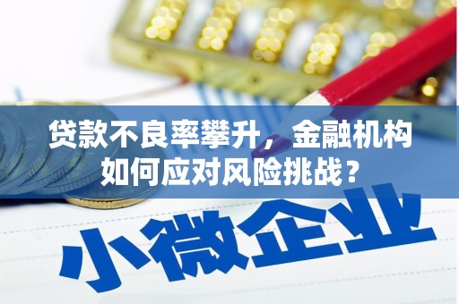 南开贷款不良率攀升，金融机构如何应对风险挑战？