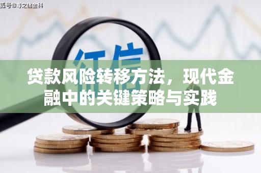 南开贷款风险转移方法，现代金融中的关键策略与实践
