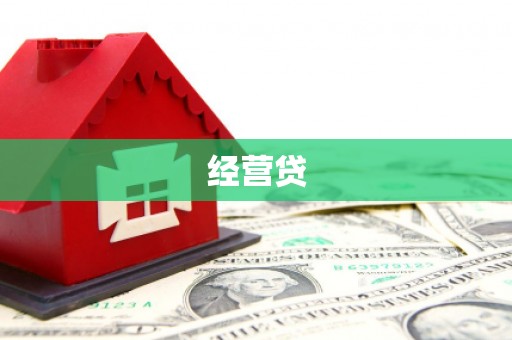 南开经营贷
