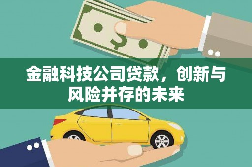 南开金融科技公司贷款，创新与风险并存的未来