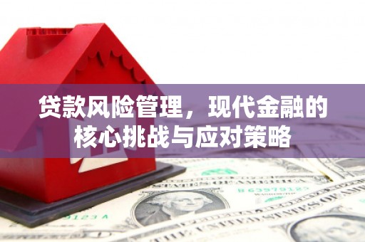 南开贷款风险管理，现代金融的核心挑战与应对策略