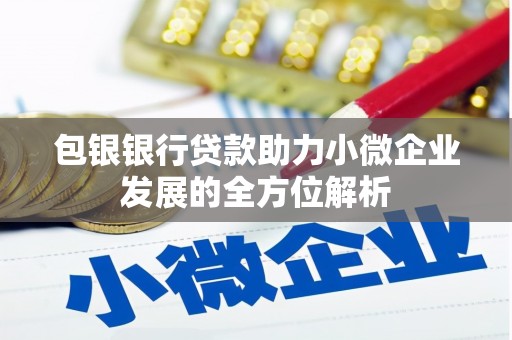 南开包银银行贷款助力小微企业发展的全方位解析