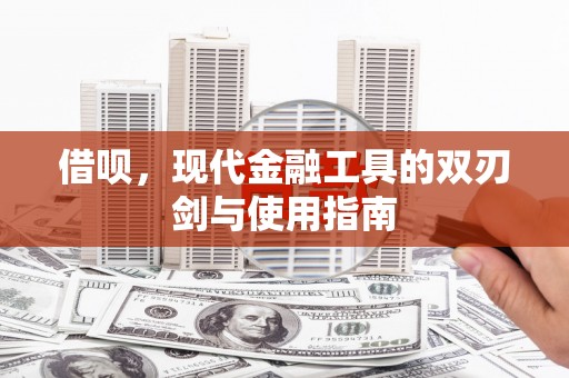 南开借呗，现代金融工具的双刃剑与使用指南