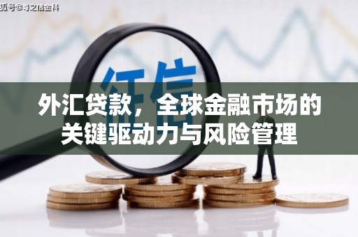 南开外汇贷款，全球金融市场的关键驱动力与风险管理