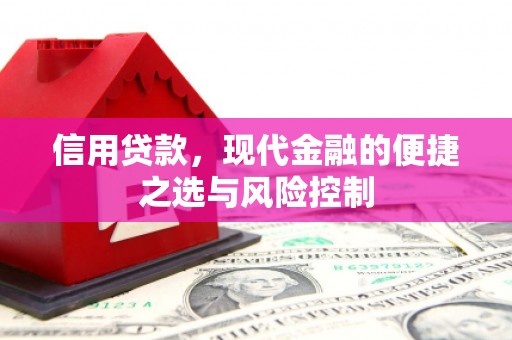 南开信用贷款，现代金融的便捷之选与风险控制