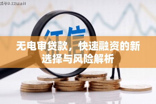 南开无电审贷款，快速融资的新选择与风险解析