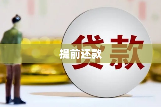南开提前还款