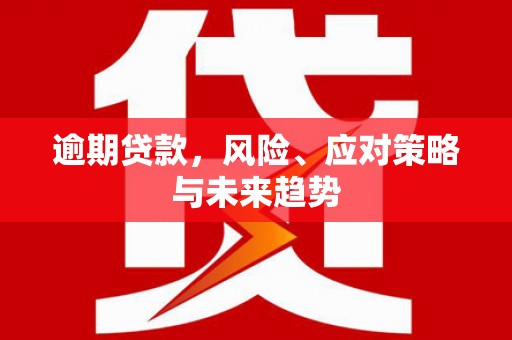 南开逾期贷款，风险、应对策略与未来趋势