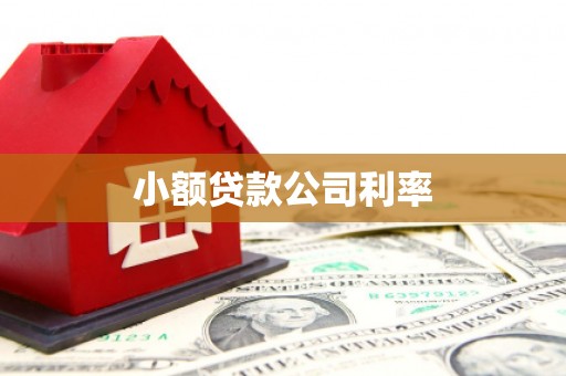南开小额贷款公司利率