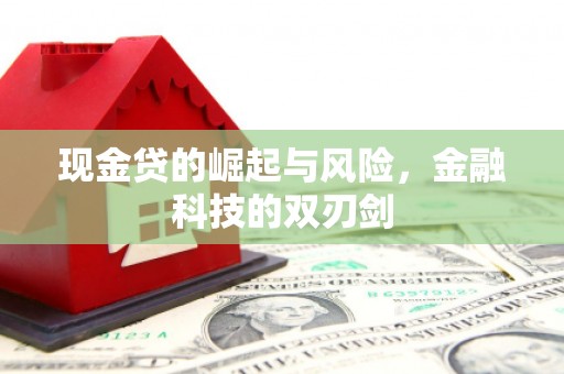 南开现金贷的崛起与风险，金融科技的双刃剑