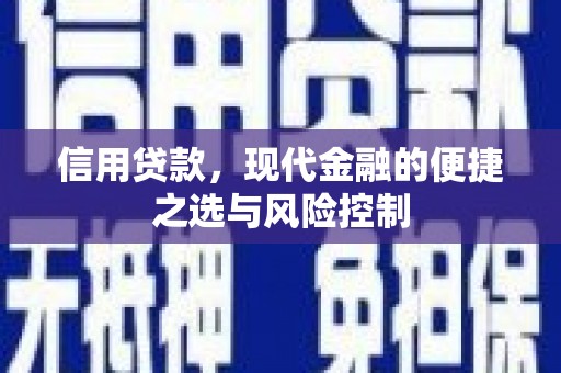 南开信用贷款，现代金融的便捷之选与风险控制