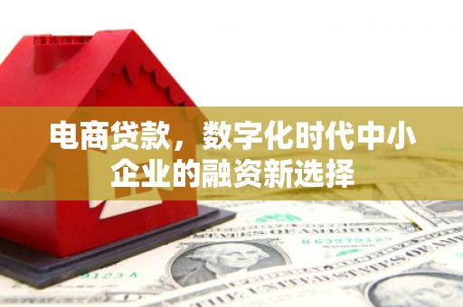 南开电商贷款，数字化时代中小企业的融资新选择
