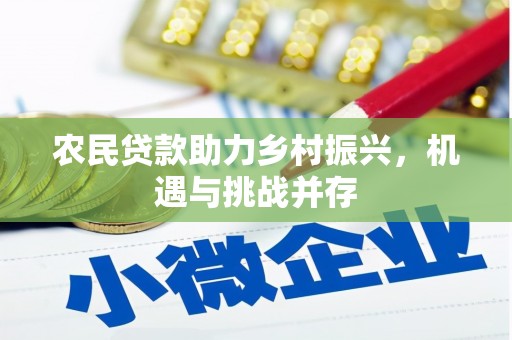 南开农民贷款助力乡村振兴，机遇与挑战并存