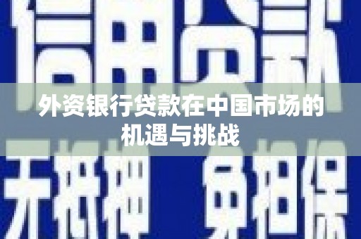 南开外资银行贷款在中国市场的机遇与挑战