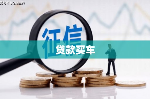 南开贷款买车