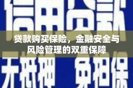 南开贷款购买保险，金融安全与风险管理的双重保障