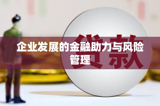 南开企业发展的金融助力与风险管理