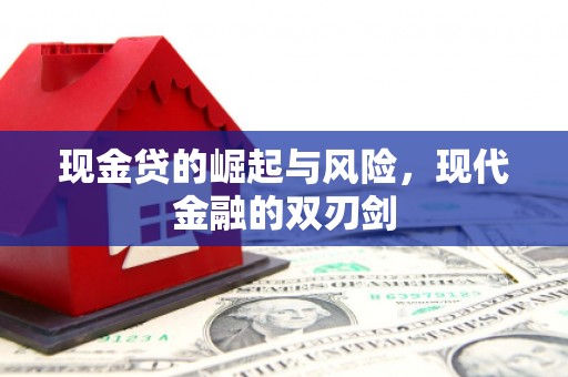 南开现金贷的崛起与风险，现代金融的双刃剑