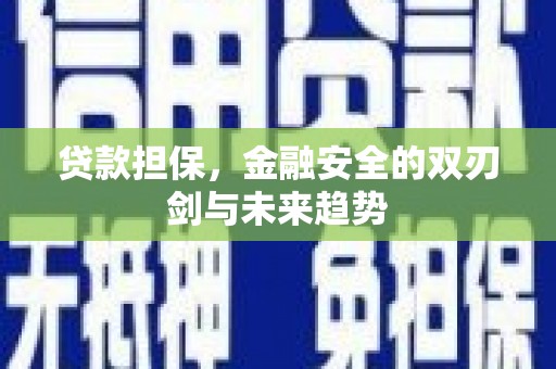 南开贷款担保，金融安全的双刃剑与未来趋势