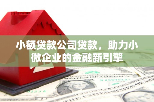 南开小额贷款公司贷款，助力小微企业的金融新引擎