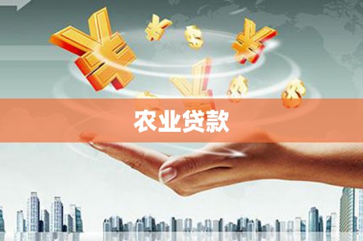 南开农业贷款