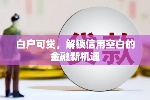 南开白户可贷，解锁信用空白的金融新机遇