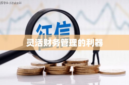 南开灵活财务管理的利器