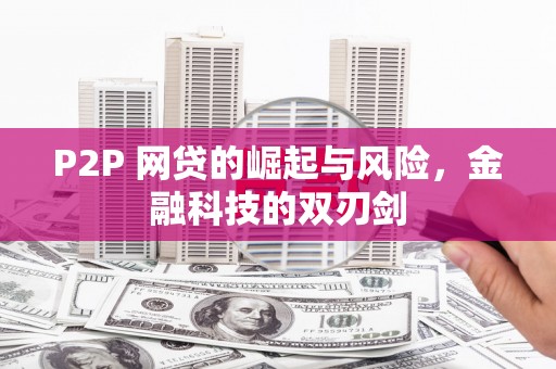 南开P2P 网贷的崛起与风险，金融科技的双刃剑