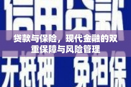 南开贷款与保险，现代金融的双重保障与风险管理