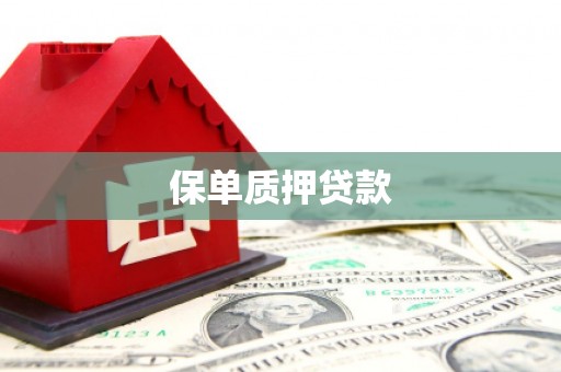 南开保单质押贷款