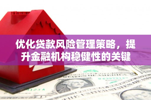 南开优化贷款风险管理策略，提升金融机构稳健性的关键