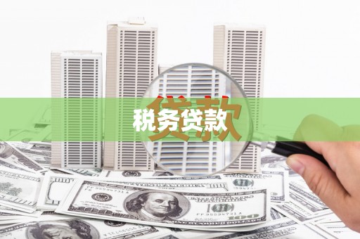 南开税务贷款
