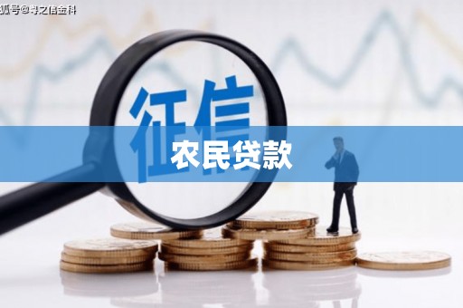 南开农民贷款