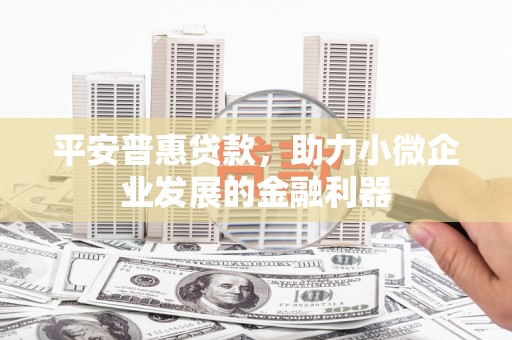 南开平安普惠贷款，助力小微企业发展的金融利器