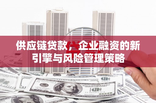 南开供应链贷款，企业融资的新引擎与风险管理策略