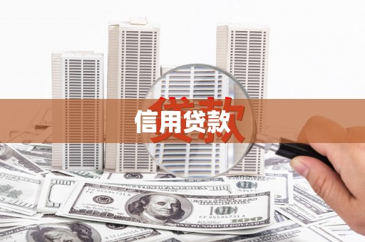 南开信用贷款