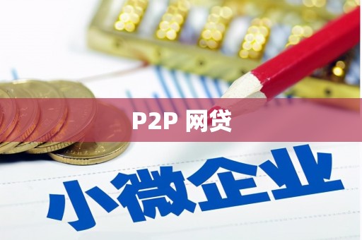 南开P2P 网贷