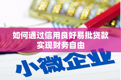 南开如何通过信用良好易批贷款实现财务自由
