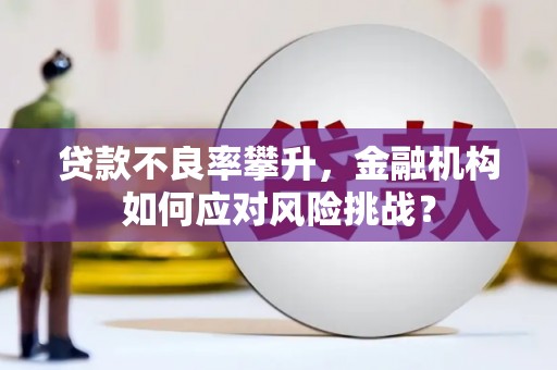 南开贷款不良率攀升，金融机构如何应对风险挑战？