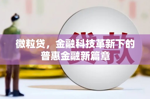 南开微粒贷，金融科技革新下的普惠金融新篇章