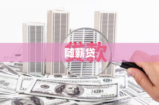 南开随薪贷