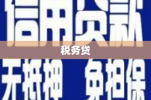 南开税务贷