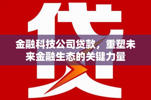 南开金融科技公司贷款，重塑未来金融生态的关键力量