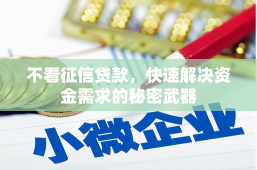 南开不看征信贷款，快速解决资金需求的秘密武器