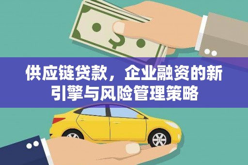 南开供应链贷款，企业融资的新引擎与风险管理策略