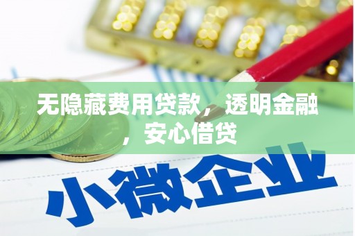 南开无隐藏费用贷款，透明金融，安心借贷