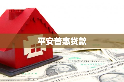 南开平安普惠贷款