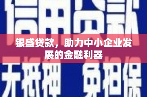 南开银盛贷款，助力中小企业发展的金融利器