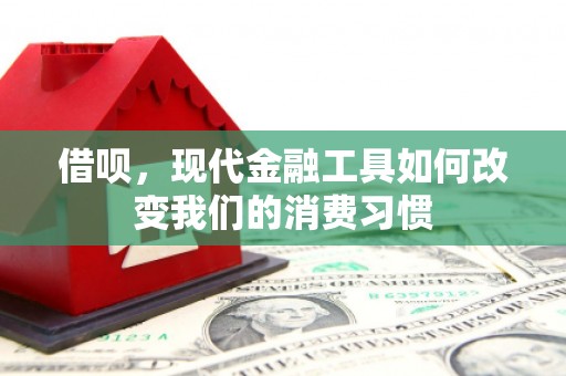 南开借呗，现代金融工具如何改变我们的消费习惯