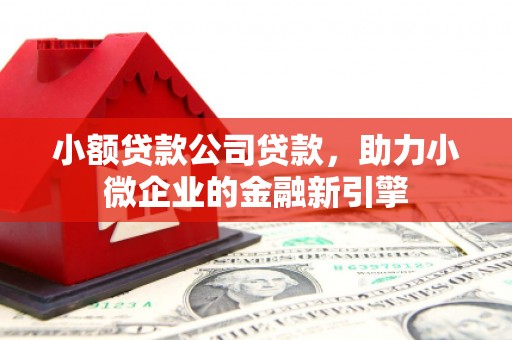 南开小额贷款公司贷款，助力小微企业的金融新引擎